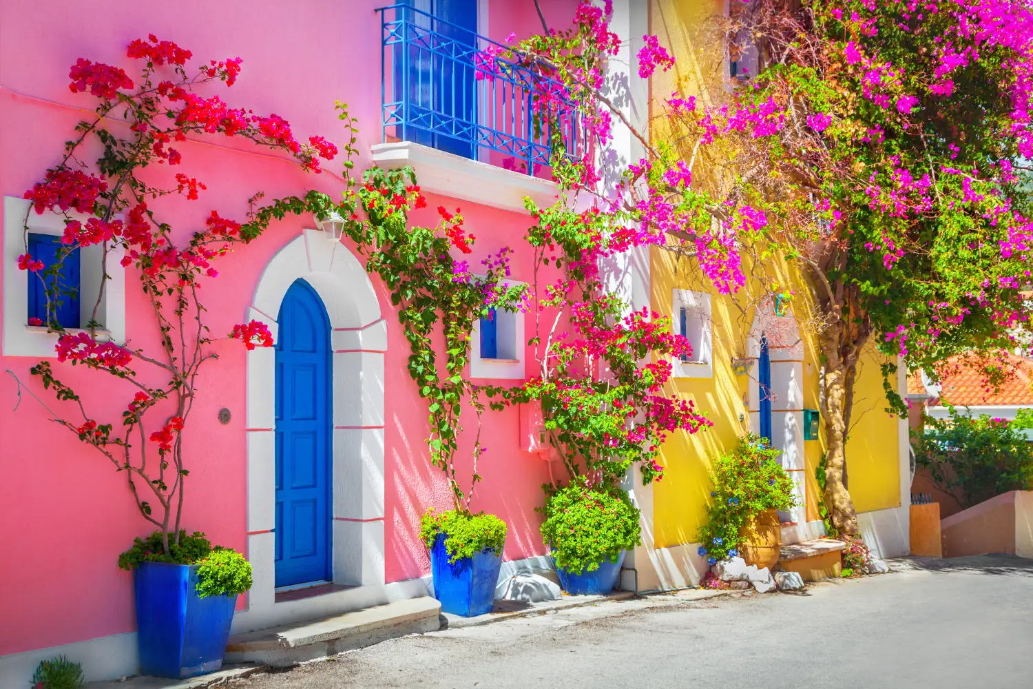 Ferry to Kefalonia - Street in Kefalonia, Greece with a pink and a yellow house front.