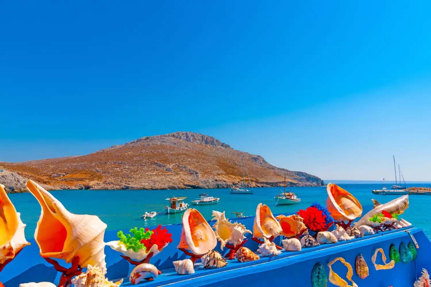 Ferry to Pserimos - Shells exposed at the local market of Pserimos island in Greece.