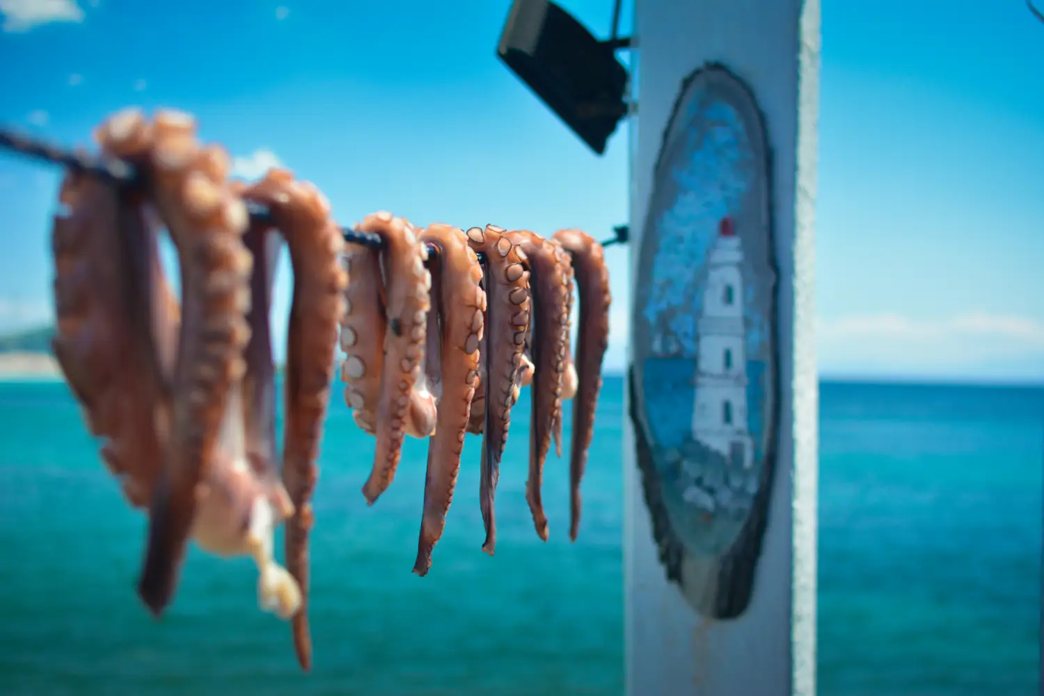 Ferry to Skiathos - Octopus drying in the sun waiting to be cooked, restaurant in Skiathos, Greece.