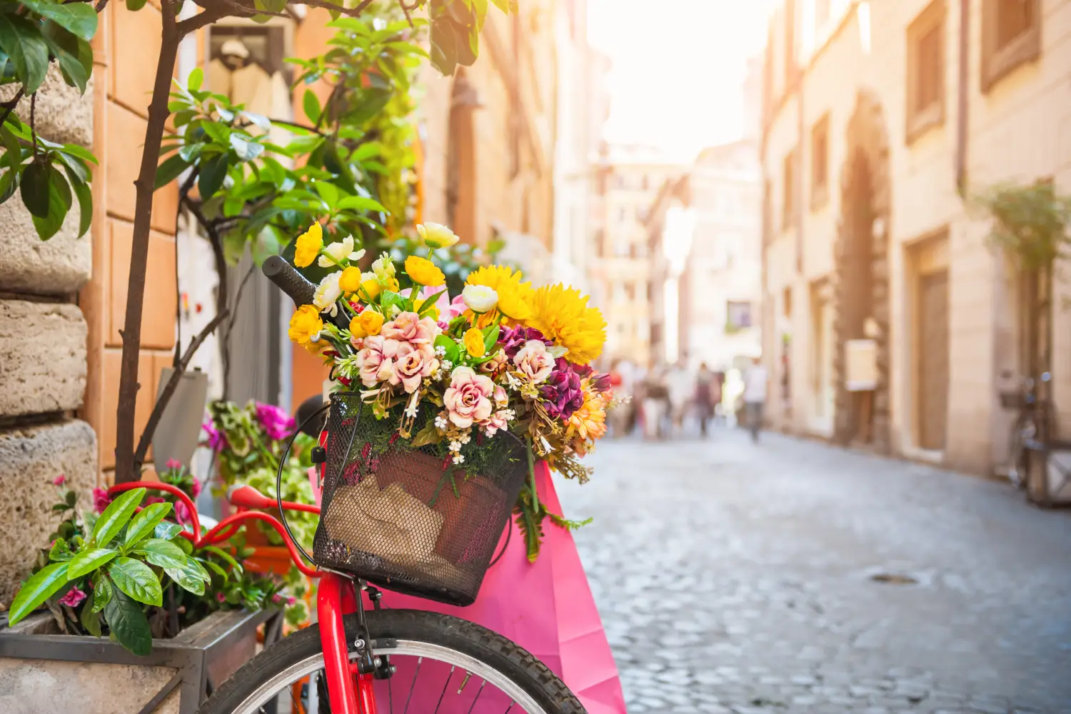 Ferry to Rome - Bicycle with flowers in the old street in Rome, Italy.