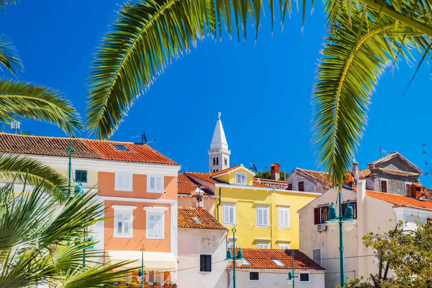 Ferry to Mali Losinj - Beautiful town of Mali Losinj on the island of Losinj, Adriatic coast in Croatia. Cathedral tower and city center view through the palm leaves.