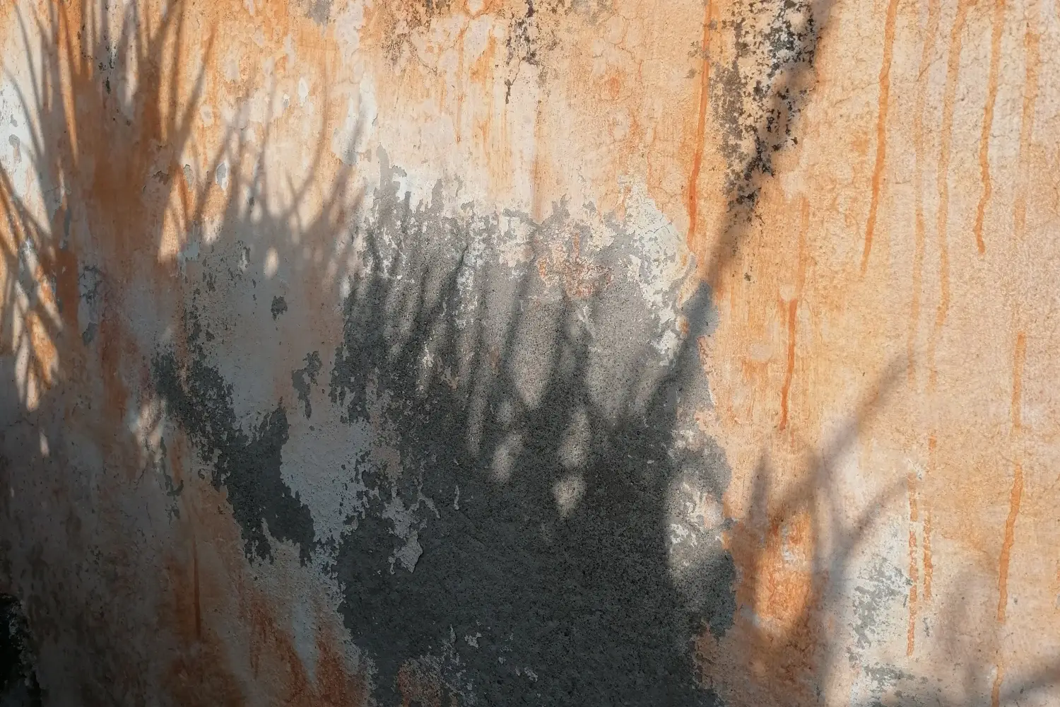 Ferry to Giannutri - Light shadow on a used wall.