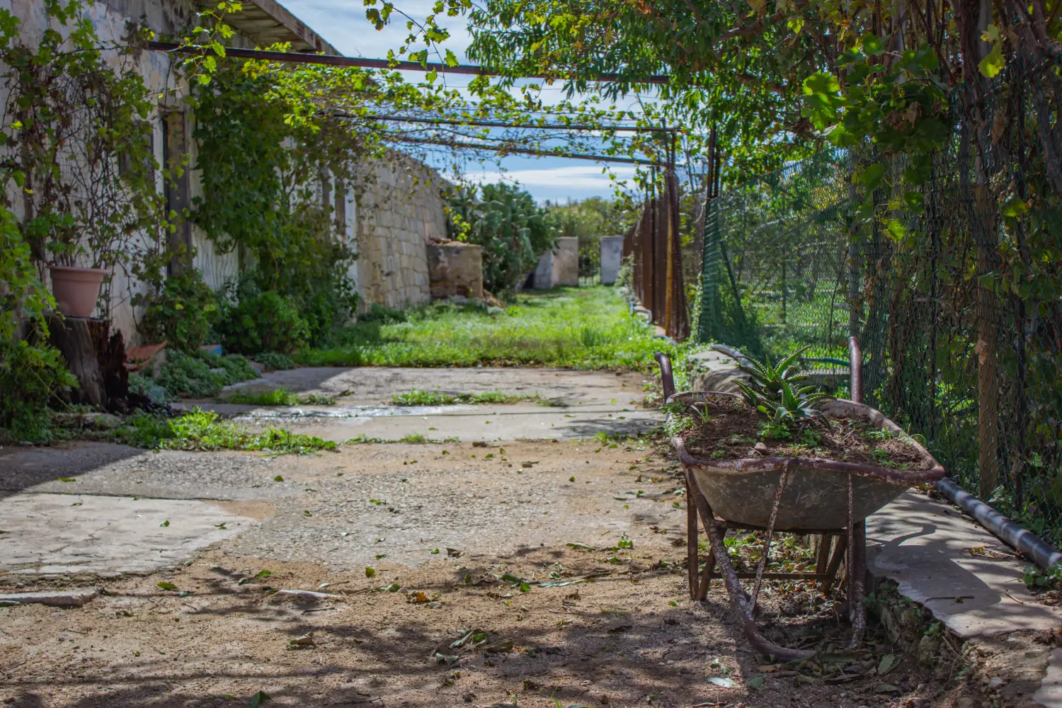 Ferry to Pianosa - Inside the prison on the island of Pianosa, Italy. Tool recovery area. Ruined building, a wheelbarrow with Aloe plants and weeds, porch, concrete floor dirty with sand.