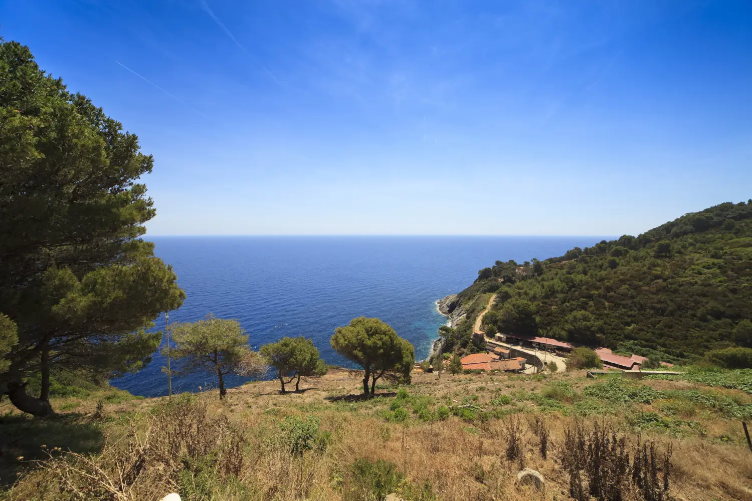 Ferry to Gorgona - The Tuscan archipelago and Gorgona island. The village and port.