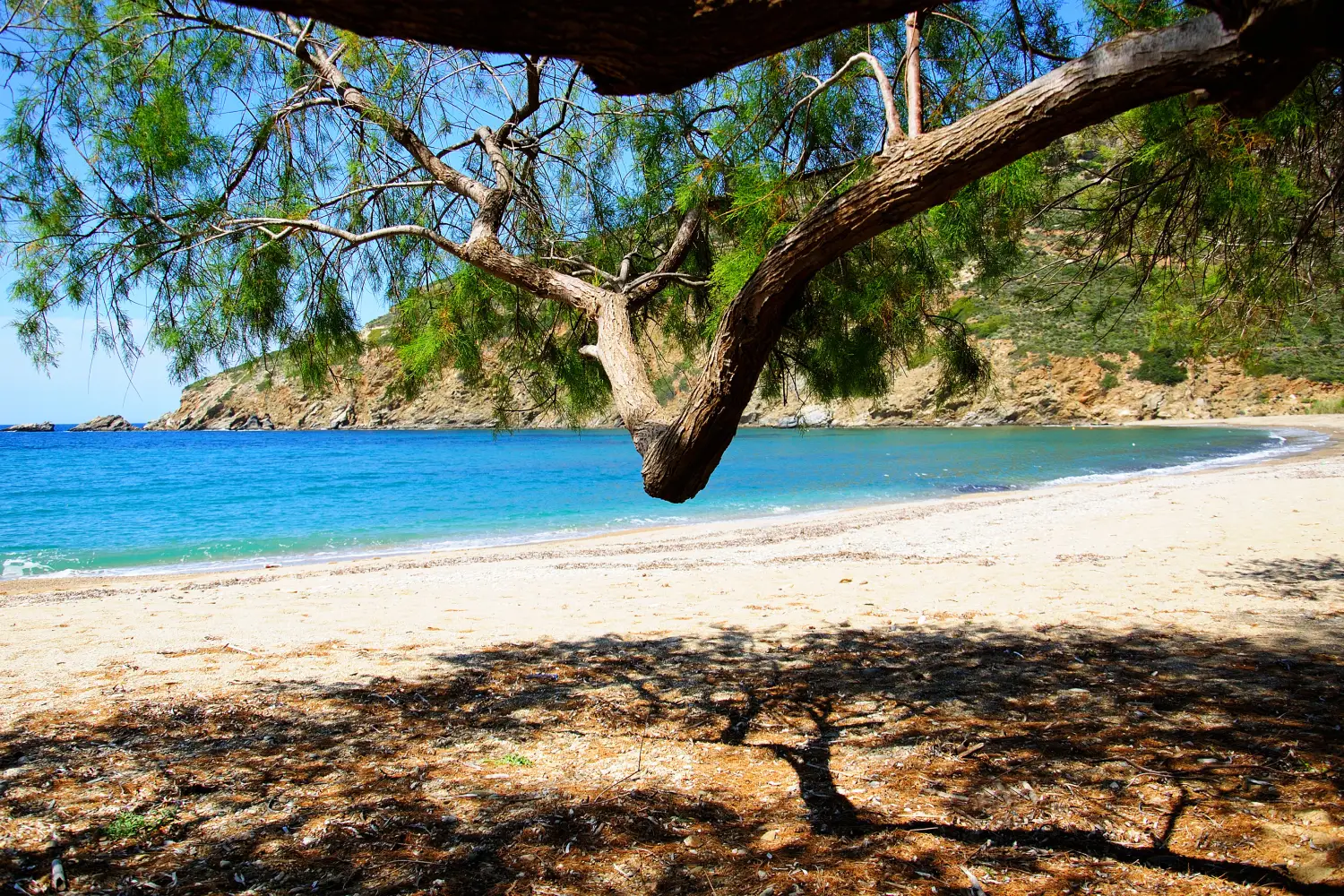 Ferry to Andros - Felos Beach in spring time on the Greek island Andros.