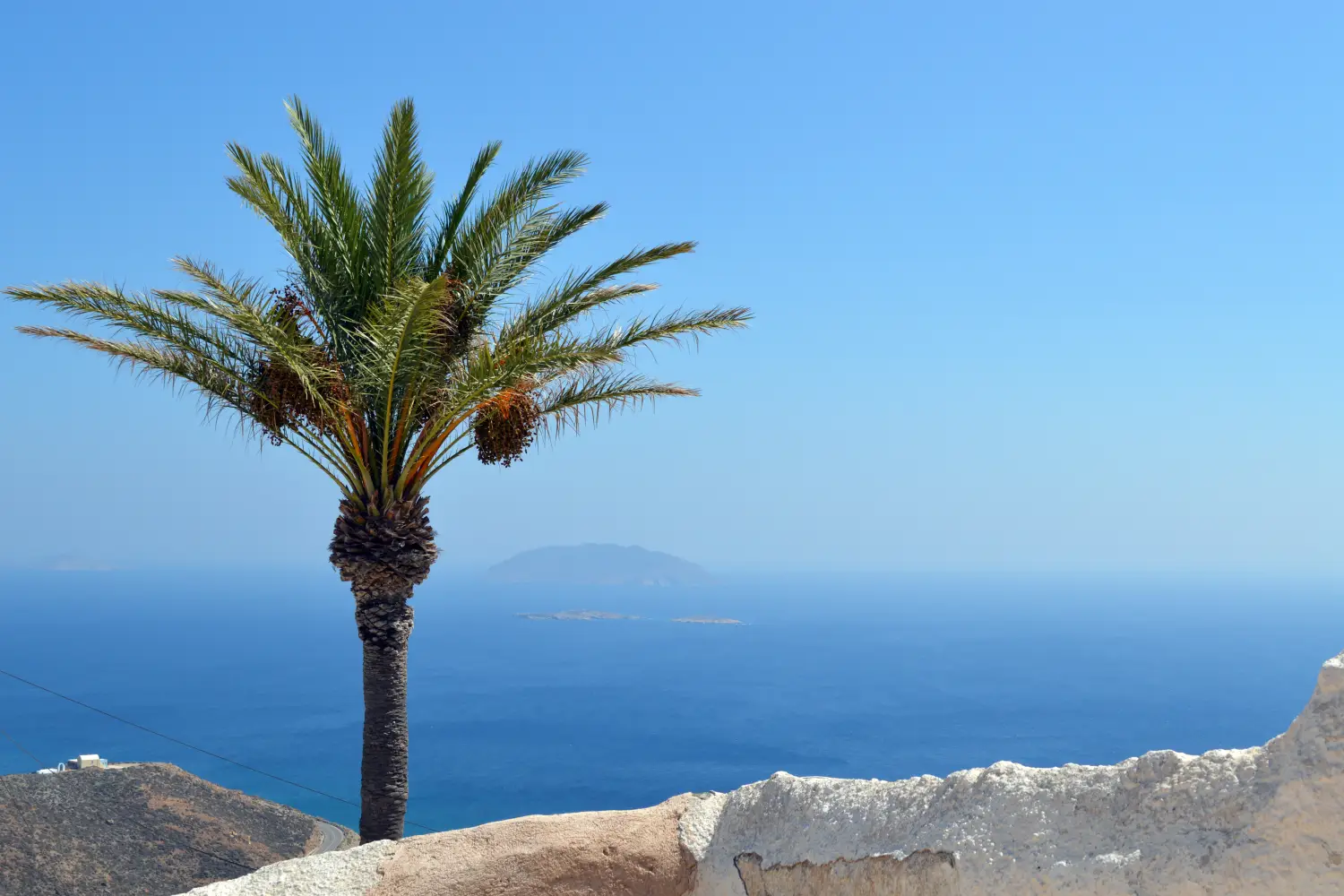 Ferry to Anafi - Palm tree on Anafi island.