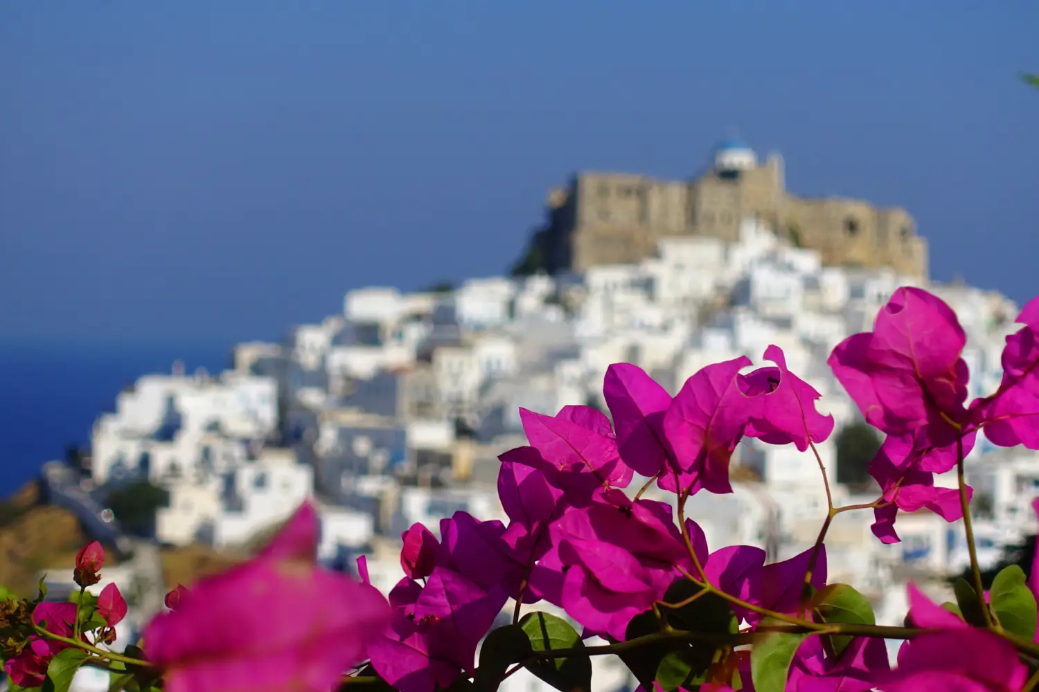 Ferry to Astypalaia - Picturesque castle of Astypalaia island as seen through beautiful bougainvillea in blossom, Dodecanese, Greece.