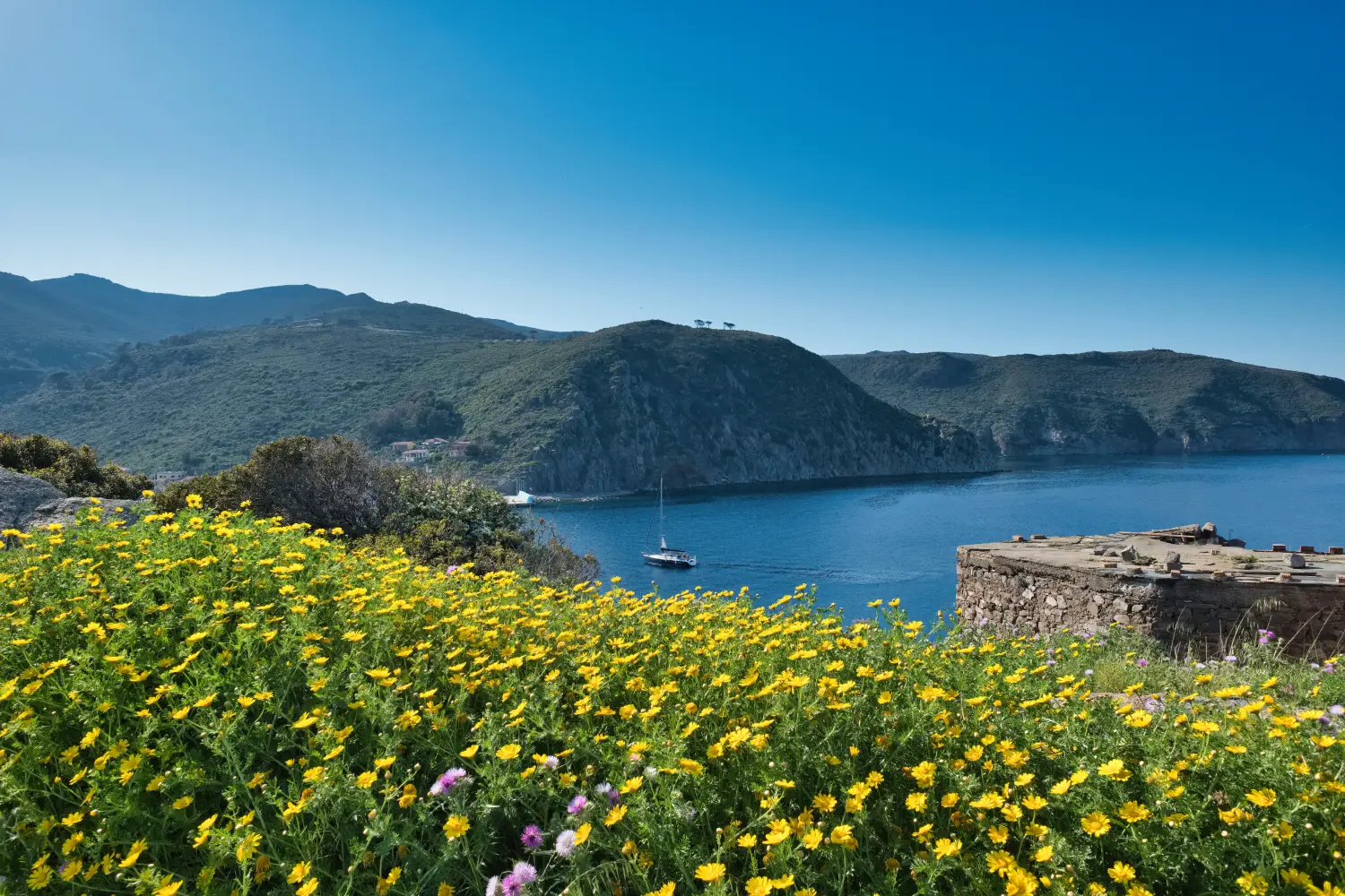Ferry to Capraia - Panorama from the island of Capraia Tuscan Archipelago Italy.