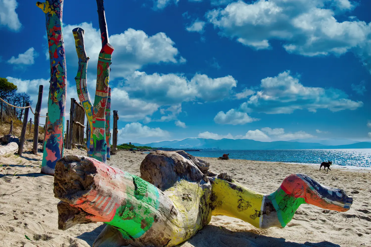 Ferry to Piombino - Tree trunk carried by the sea on the beach of Carbonifera Piombino, Tuscany, Italy.