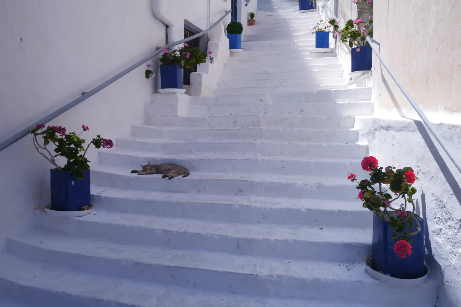 Ferry to Ikaria - A typical street in Greek village, on Icaria Island. Cat resting on the stairs.