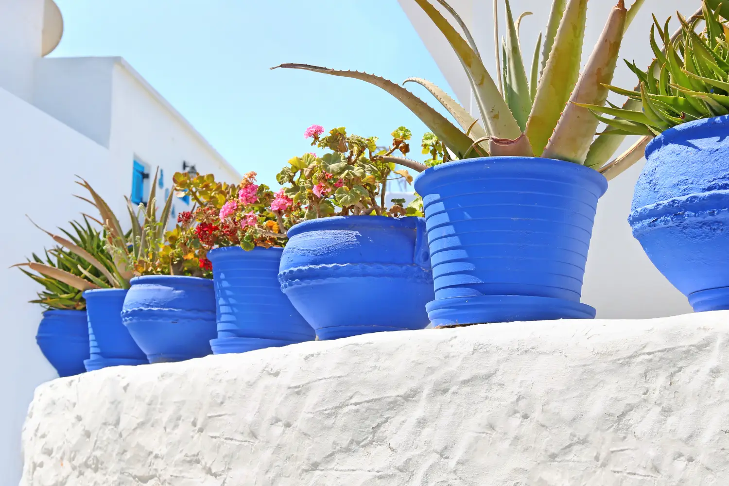 Ferry to Koufonisi - Blue flower pots at Ano Koufonisi island, Cyclades, Greece.