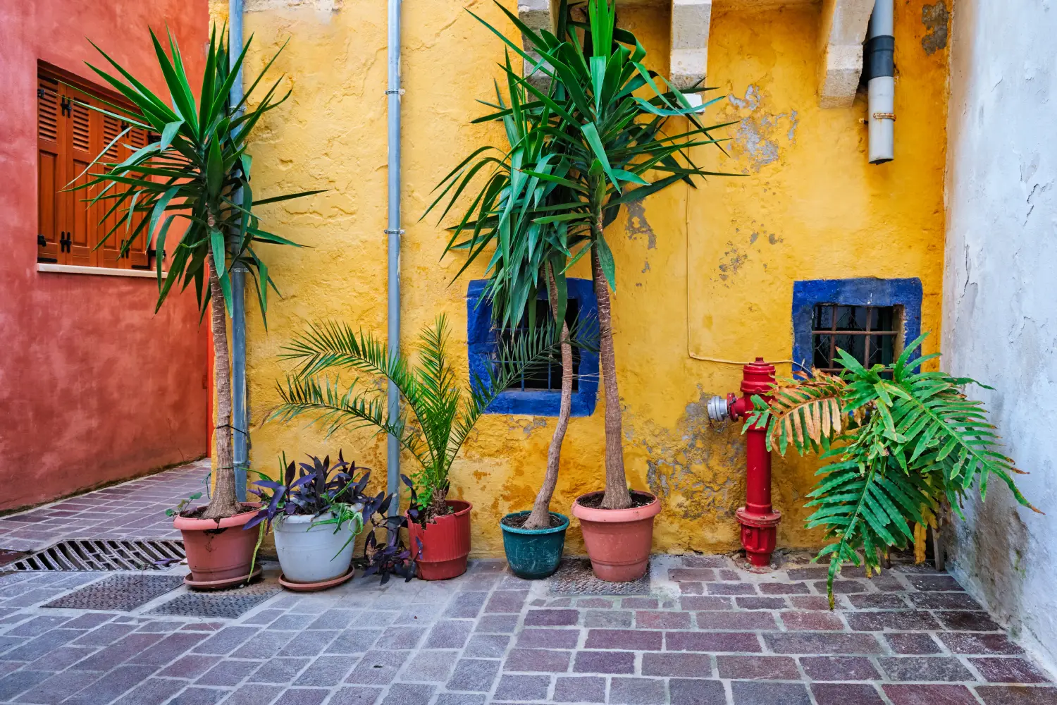 Ferry to Chania - Scenic picturesque streets of Chania venetian town with coloful old houses Chania greek village in the morning Chanica, Crete island, Greece.