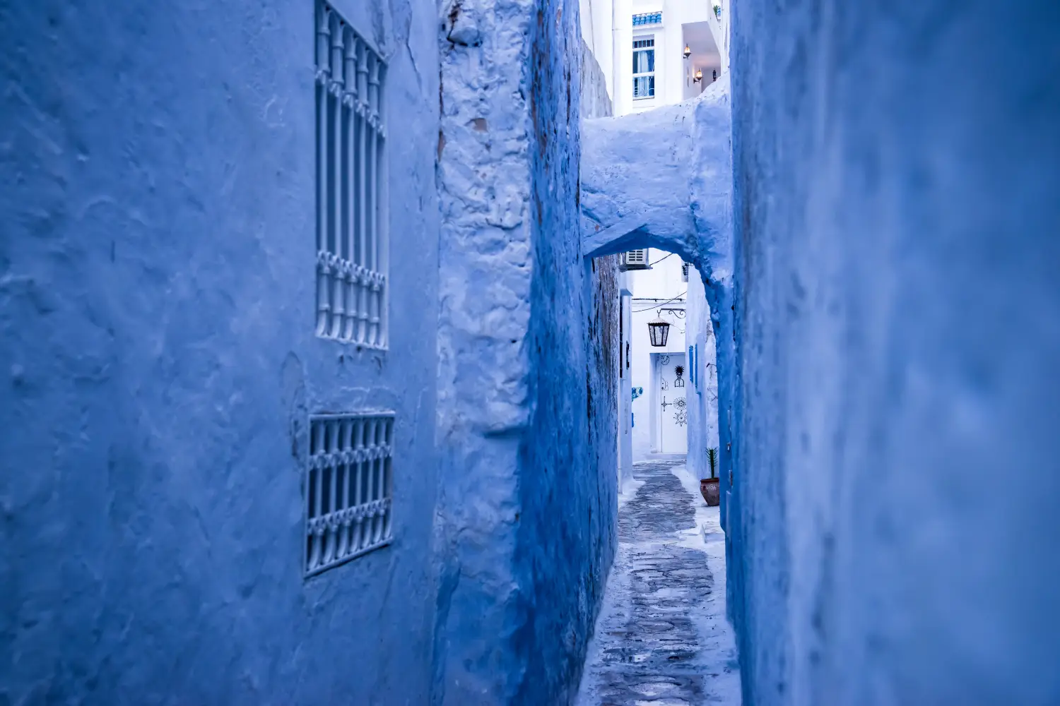 Ferry to Tunis - Hammamet Medina streets with blue walls. Tunis, north Africa.